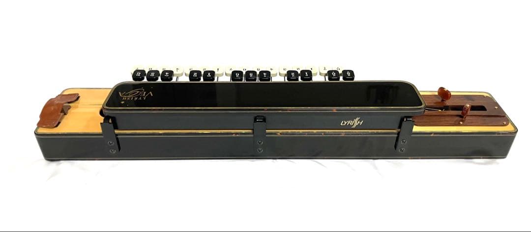 【希少・即納】ライリッシュ 最高級大正琴 VEGA アルト ワイヤレス付