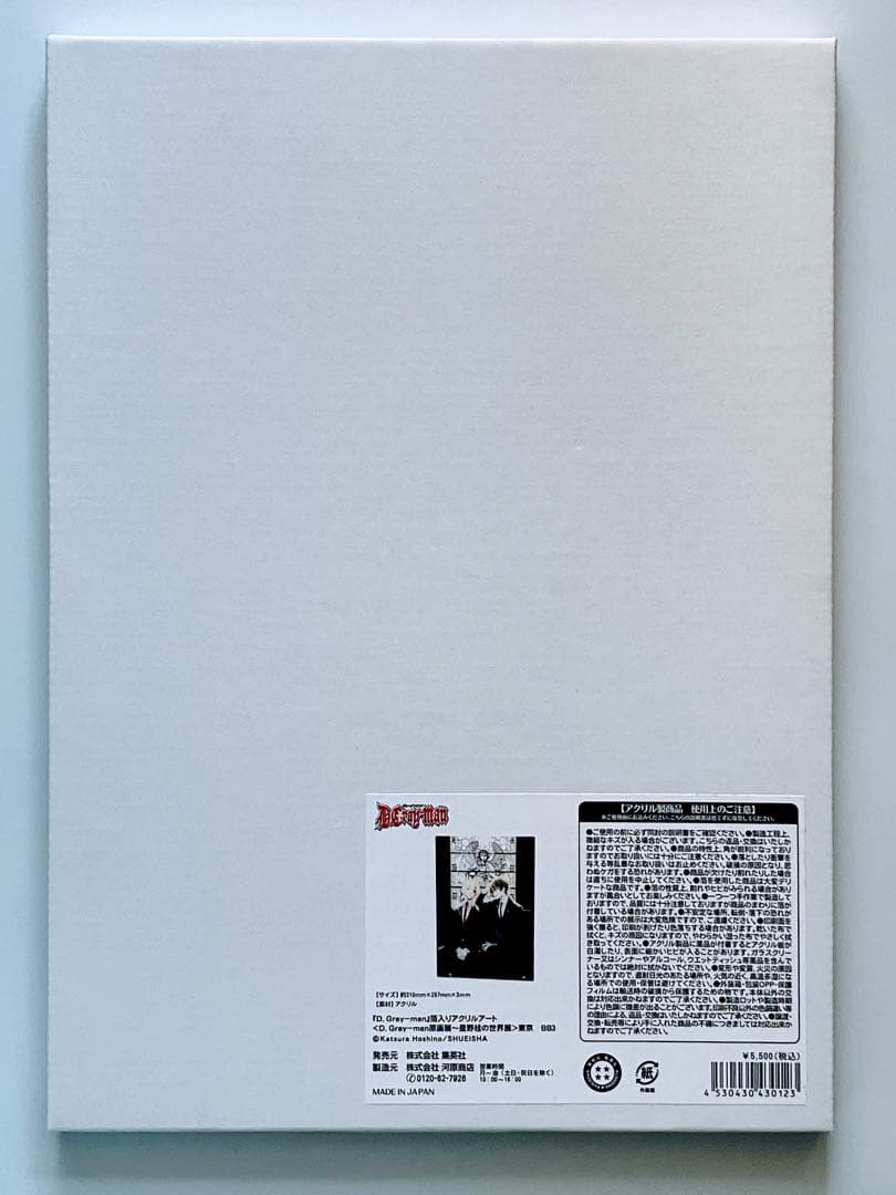 D.Gray-man Dグレ 原画展 箔入りアクリルアート アレン&ネア