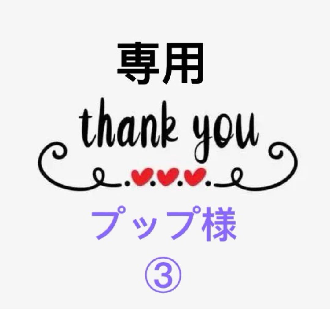プップ③