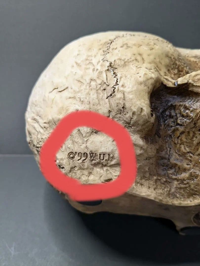 1999年製のレトロなスカル貯金箱