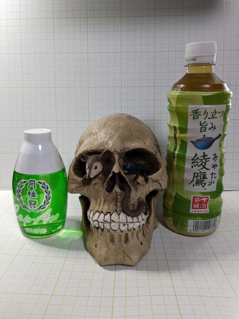1999年製のレトロなスカル貯金箱