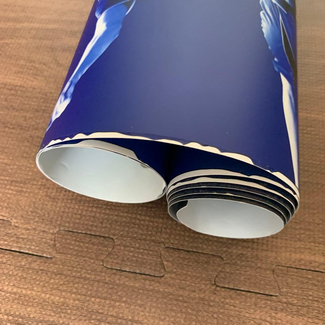 非売品 世界卓球 2009 横浜 バタフライ 特大 タペストリー　水谷隼