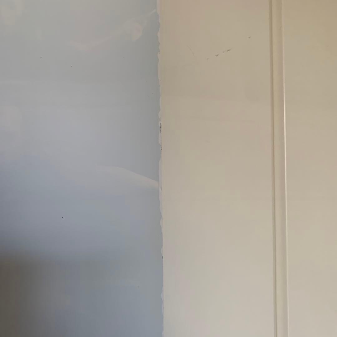 非売品 世界卓球 2009 横浜 バタフライ 特大 タペストリー　水谷隼