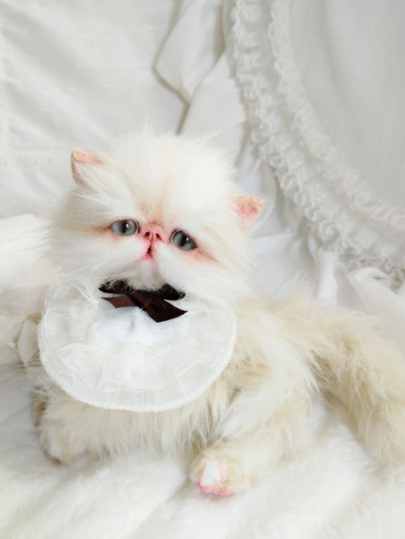 Milky様御予約❤️生後3ヶ月♡綺麗なお顔の♡子猫ちゃん♡アートドール♡