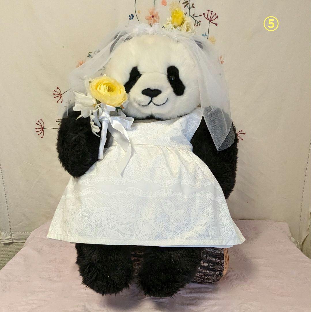 【予告】抱っこシャン♡２歳シャン♡ウエディングドレス