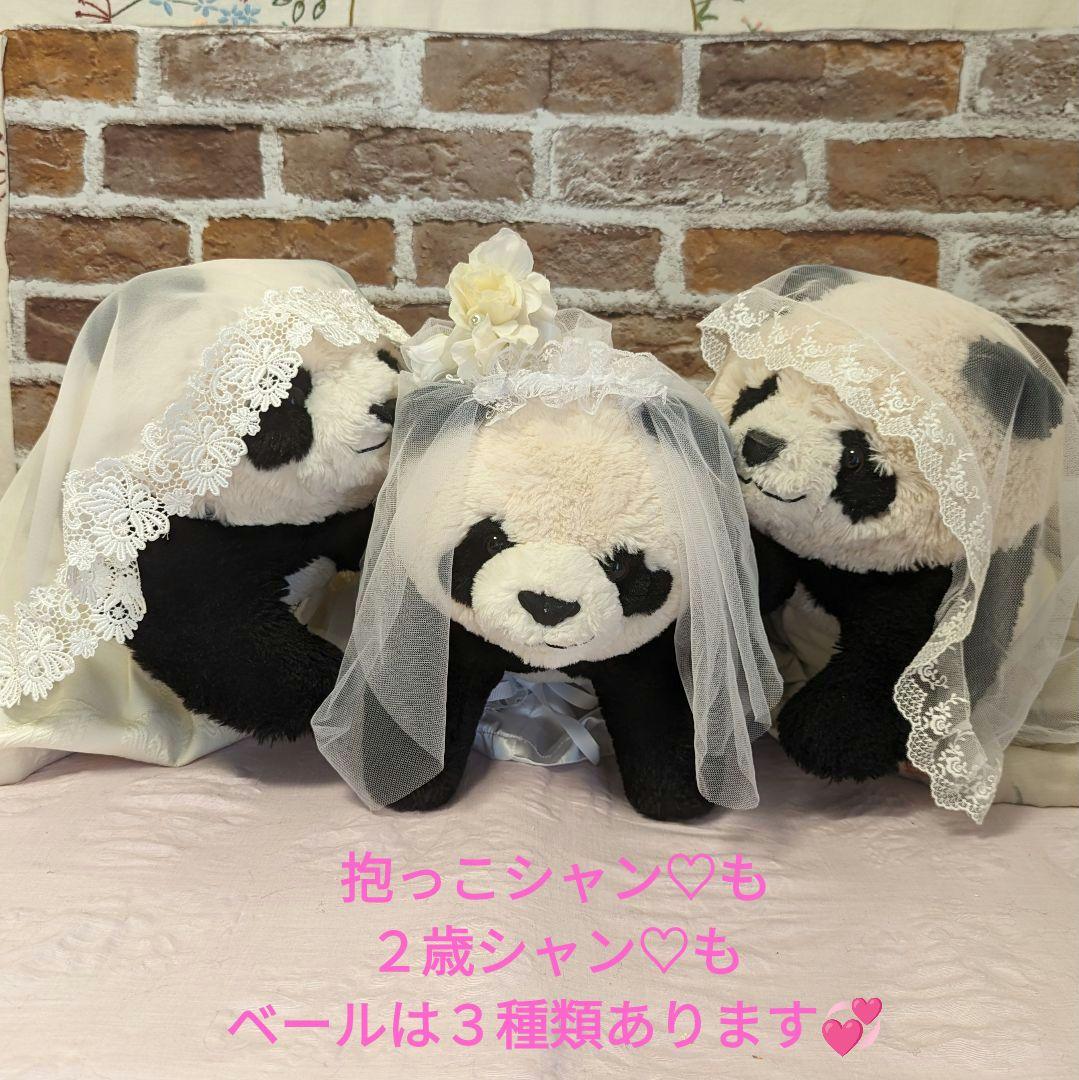 【予告】抱っこシャン♡２歳シャン♡ウエディングドレス