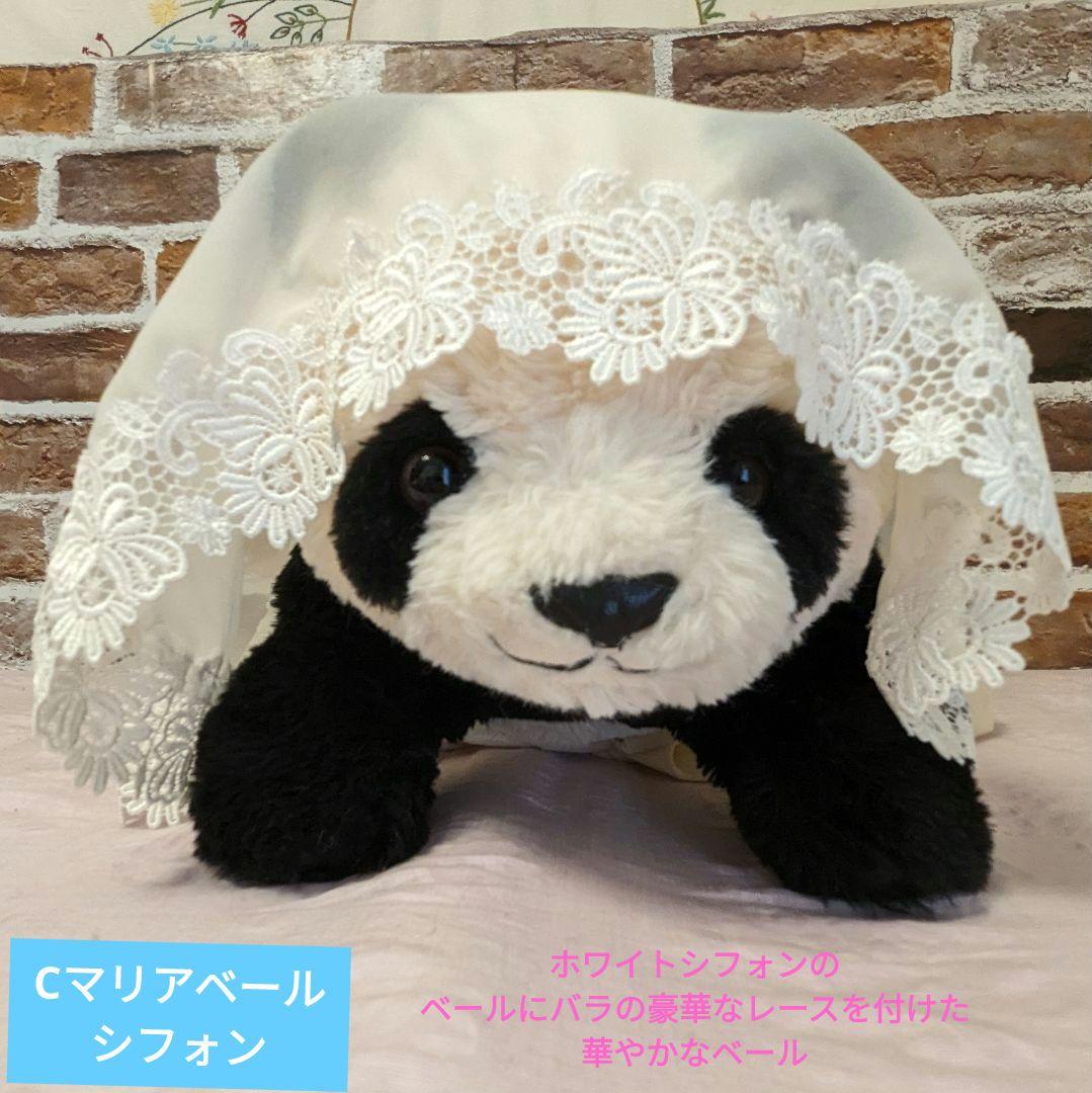 【予告】抱っこシャン♡２歳シャン♡ウエディングドレス