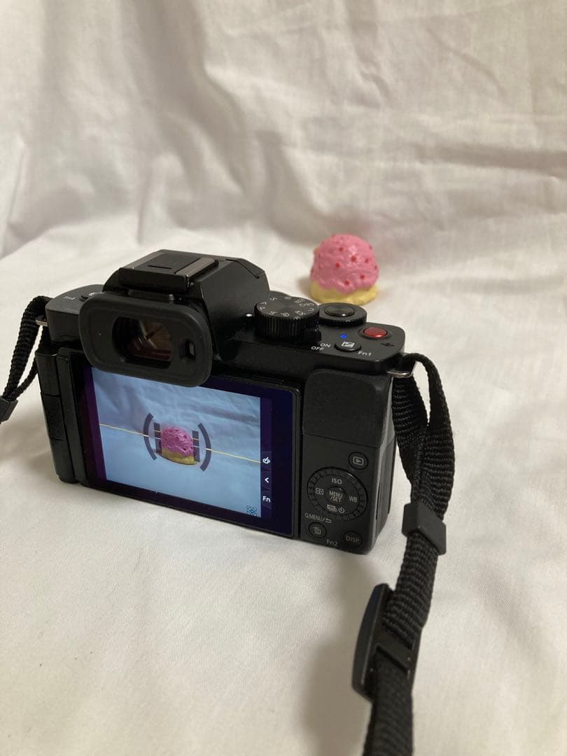 LUMIX DC-G100D ミラーレス 一眼　カメラ SDカード付　箱付
