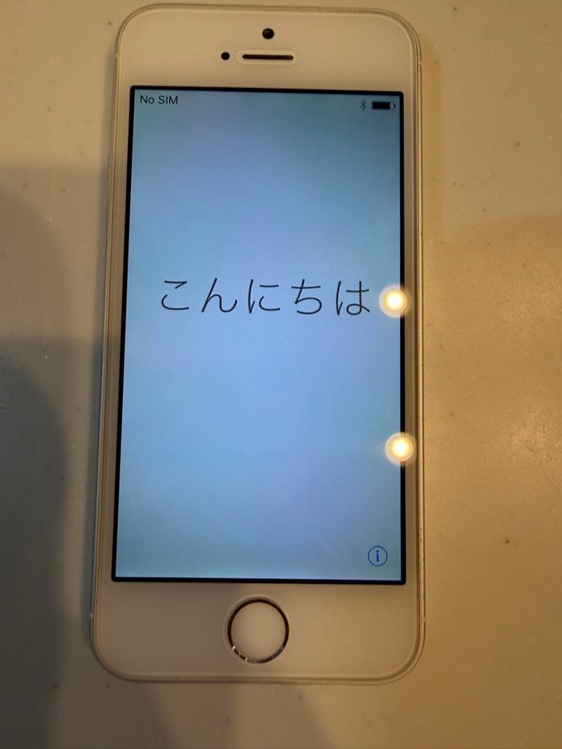 Apple iPhone 5s シルバー 本体【ドコモ】