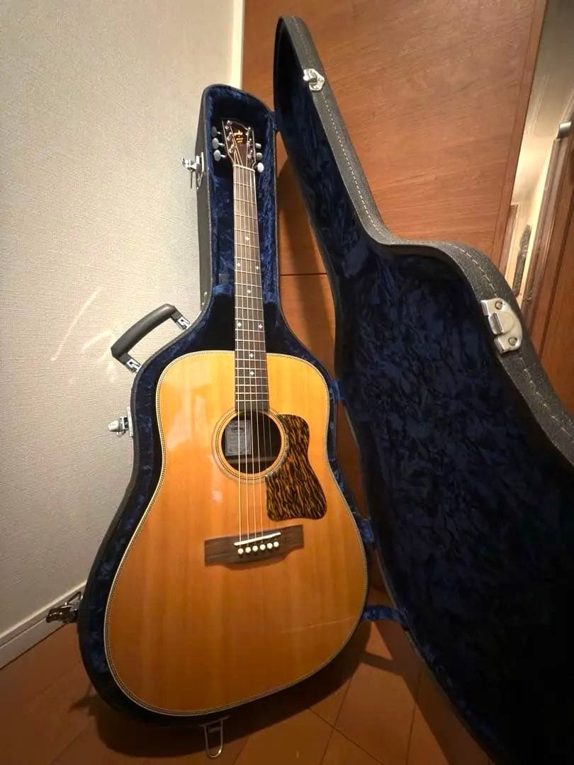 HEADWAY HD-770S + Fishmanピックアップ + ハードケース