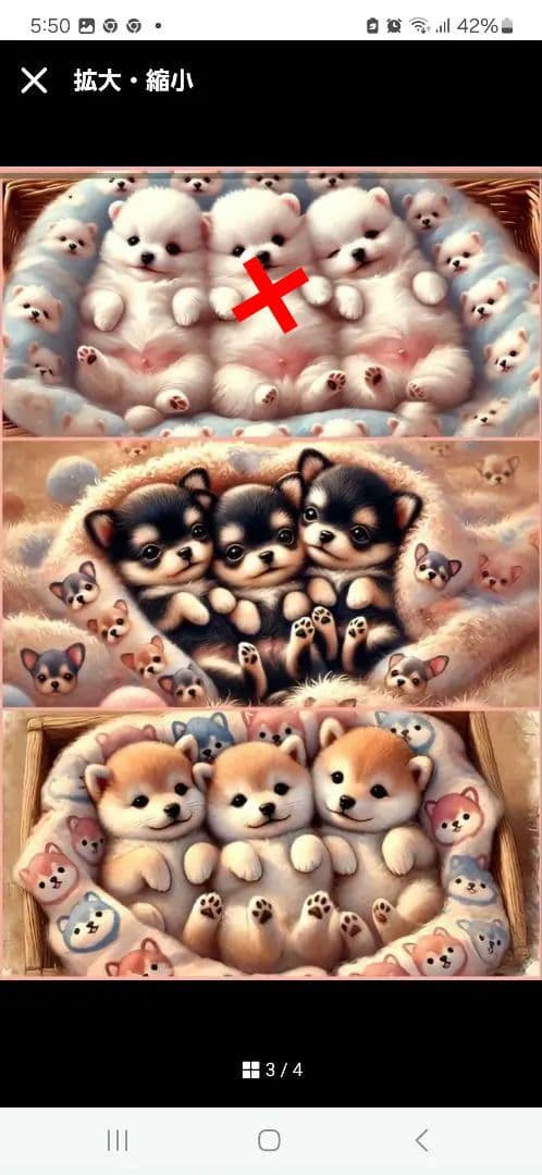 可愛いポメラニアン、柴犬、チワワパネル生地　ハンドメイド