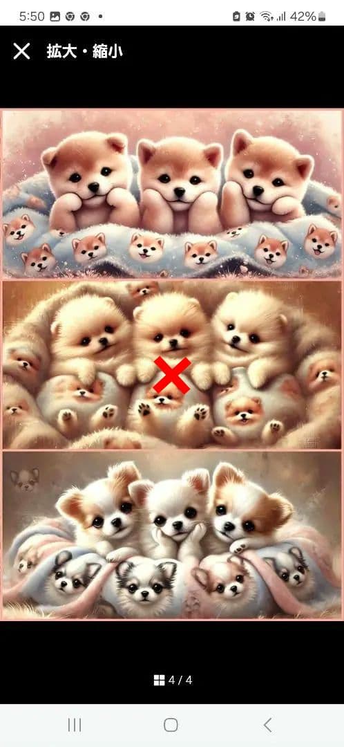 可愛いポメラニアン、柴犬、チワワパネル生地　ハンドメイド