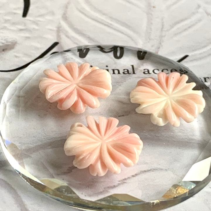 New❁︎高品質クィーンコンクシェルAAAマーガレットフラワーカービング　15mm