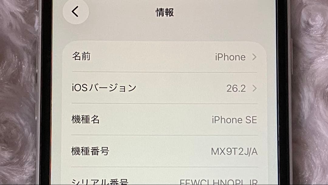 iPhone se2 本体のみ バッテリー最大容量80%以上 第2世代