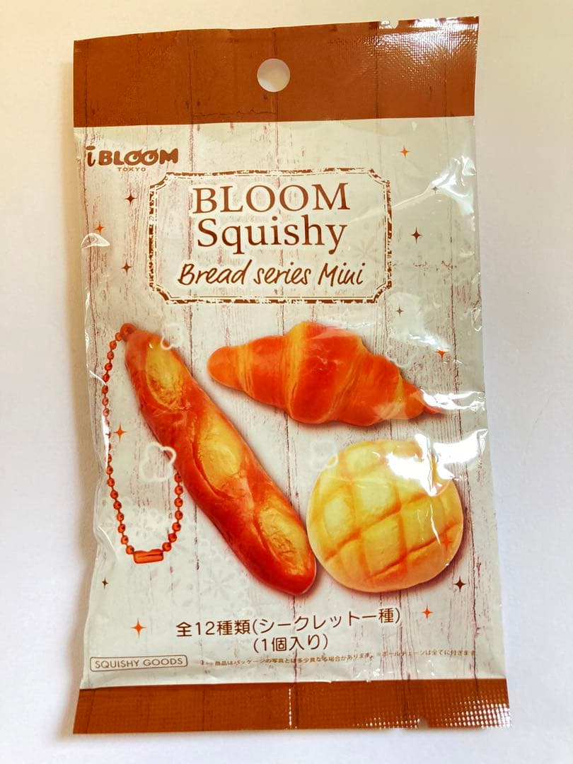 新品未開封　スクイーズ10点セット　ブルーム ミニチュアパンクローズド