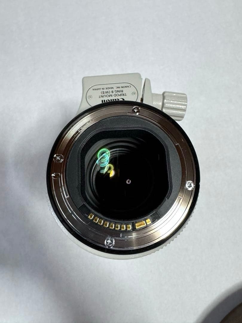 Canon EF70-200mm F2.8L IS Ⅲ USM フルサイズ
