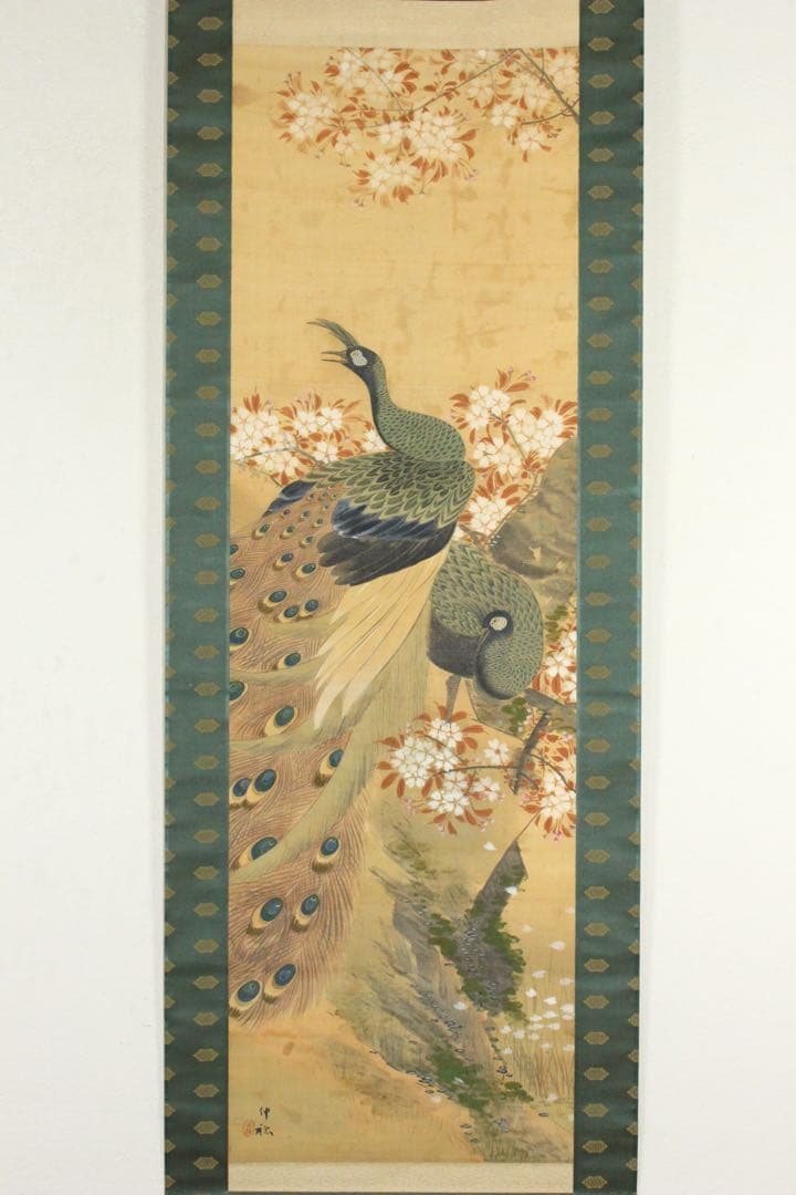 Ni5604 掛軸　在銘　伸祐　桜花双孔雀図　絹本着色　日本画　花鳥　送料無料