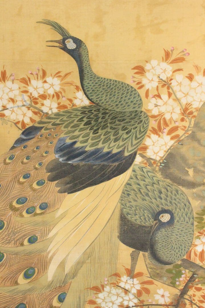 Ni5604 掛軸　在銘　伸祐　桜花双孔雀図　絹本着色　日本画　花鳥　送料無料