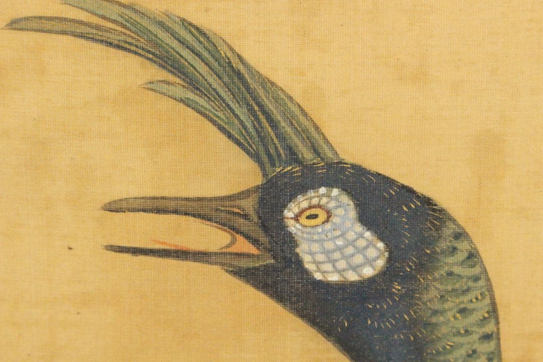 Ni5604 掛軸　在銘　伸祐　桜花双孔雀図　絹本着色　日本画　花鳥　送料無料