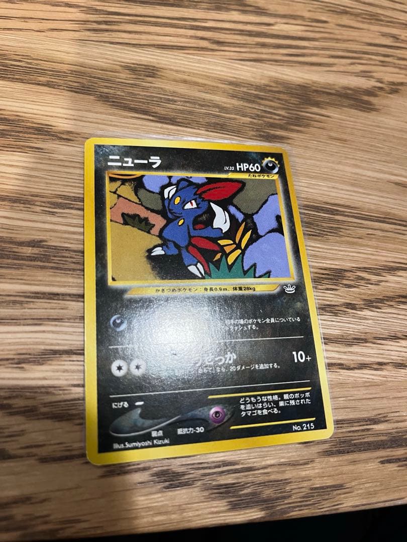 プレミアムファイル3 PROMO ポケモンカードネオ セット 旧裏