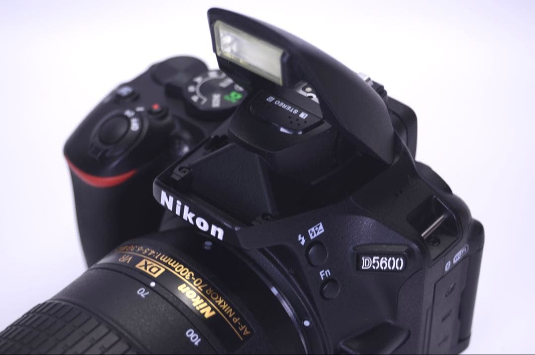 【美品】Nikon D5600 ダブルズームキット