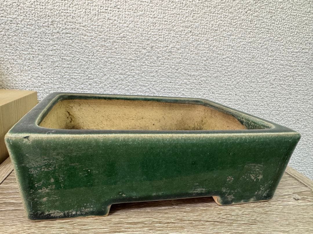 盆栽鉢　小品盆栽鉢　柴勝製　緑釉