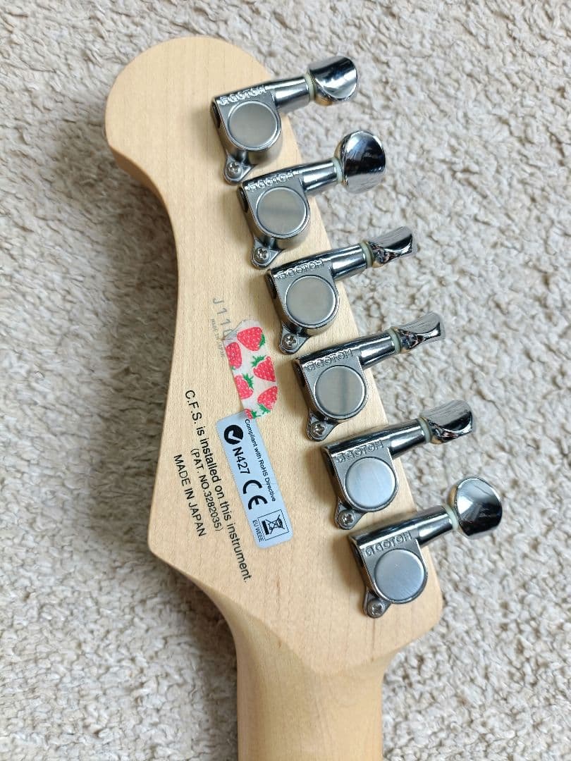 FGN J-STANDARD リアハム ストラトキャスター 日本製 美品 富士弦