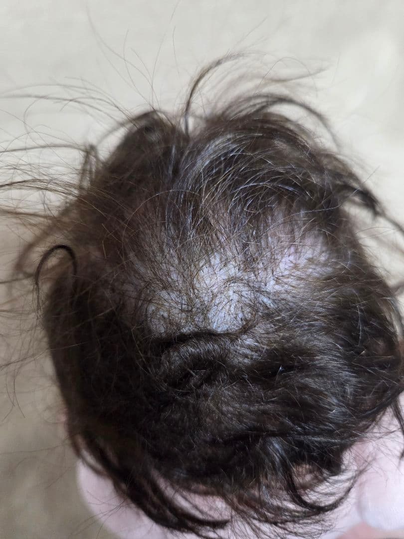 リボーンドール　Kendall 　ケンドル　プリミーサイズ【最終価格】