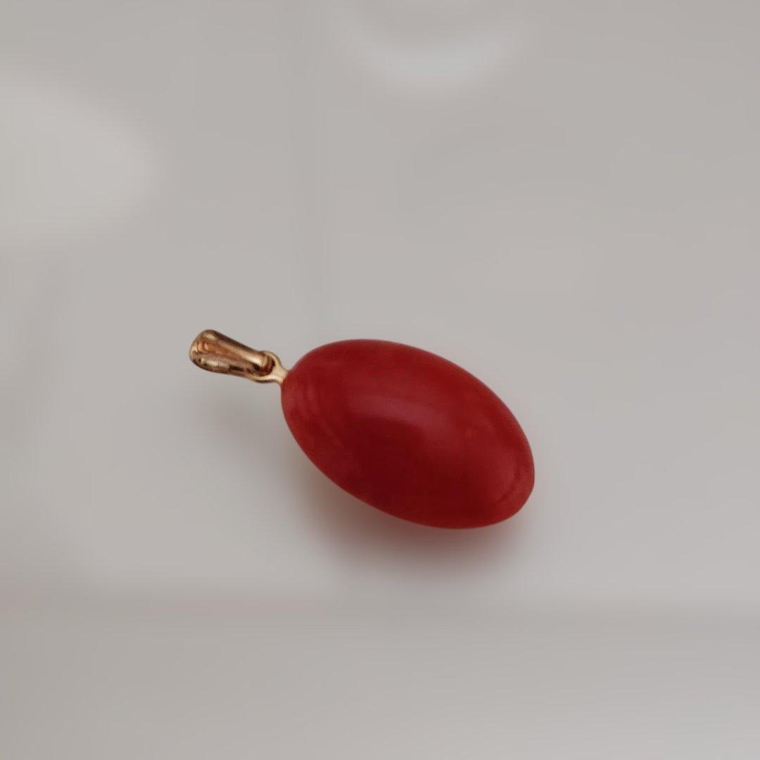 サンゴ　ルース