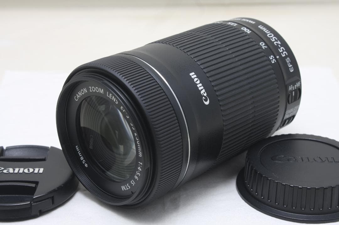 キヤノン EF-S 55-250mm F4-5.6 IS STM 8254
