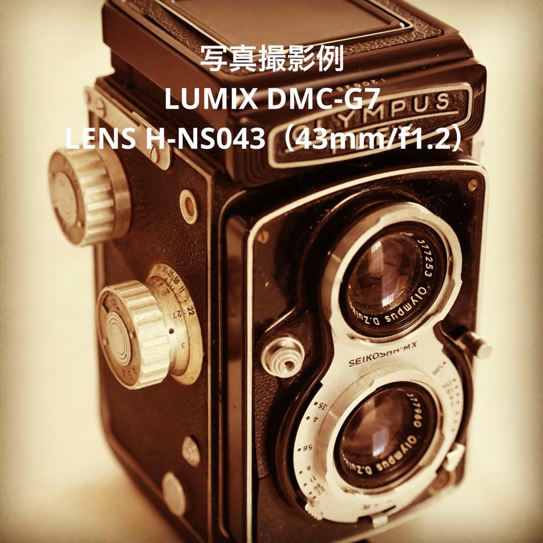LUMIX DMC-G7 ミラーレス一眼 本体と付属品