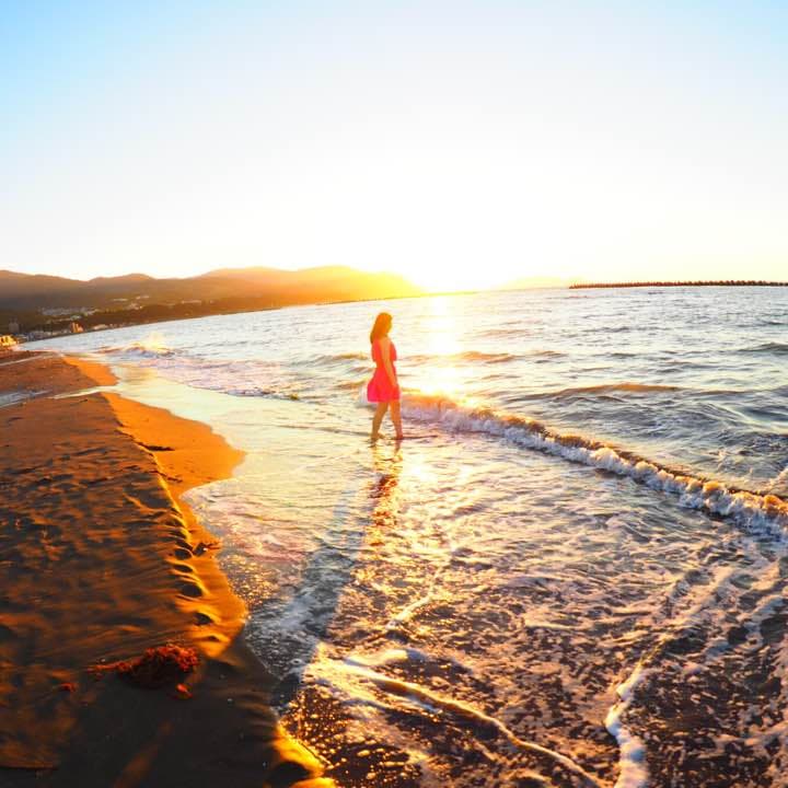 デジタルカメラ lumix g fisheye 8mm f3.5