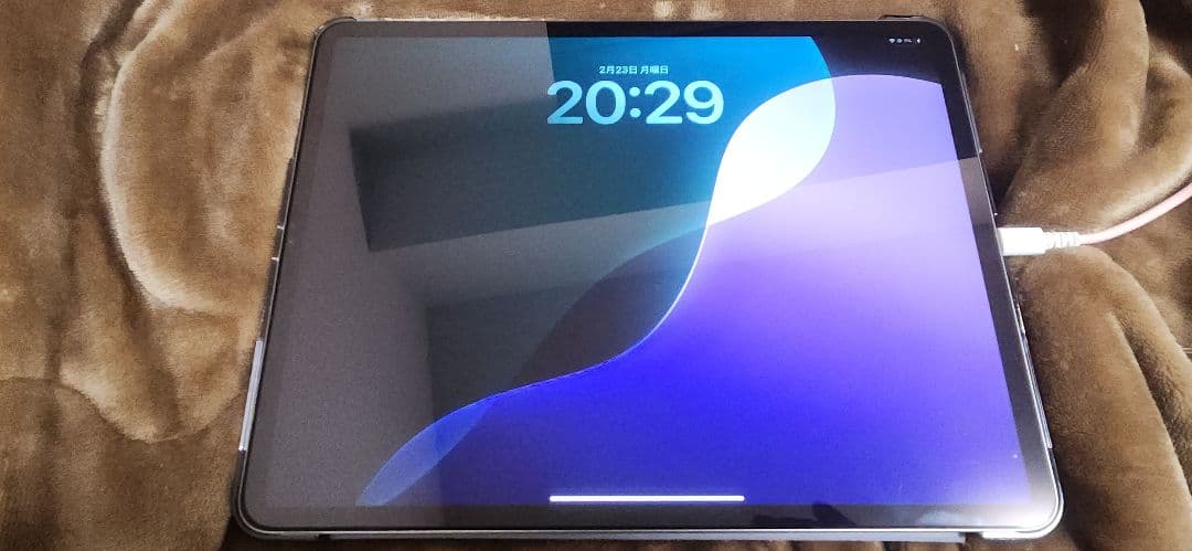 Apple iPad Pro 12.9インチ 第3世代 256GB