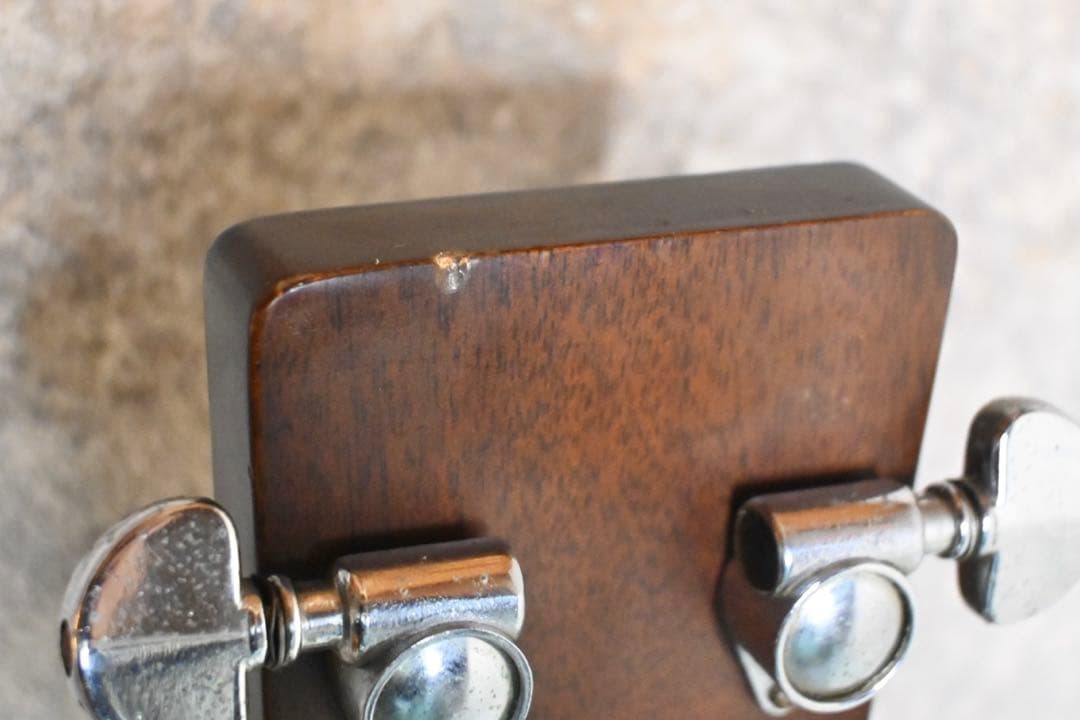 Rider R-500 林楽器 70年代 ライダー ジャパビン