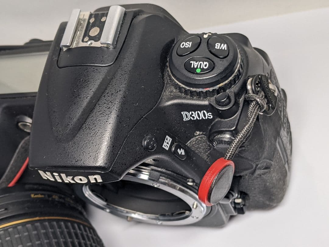 Nikon D300S デジタル一眼レフ AF-S DX 16-80mm