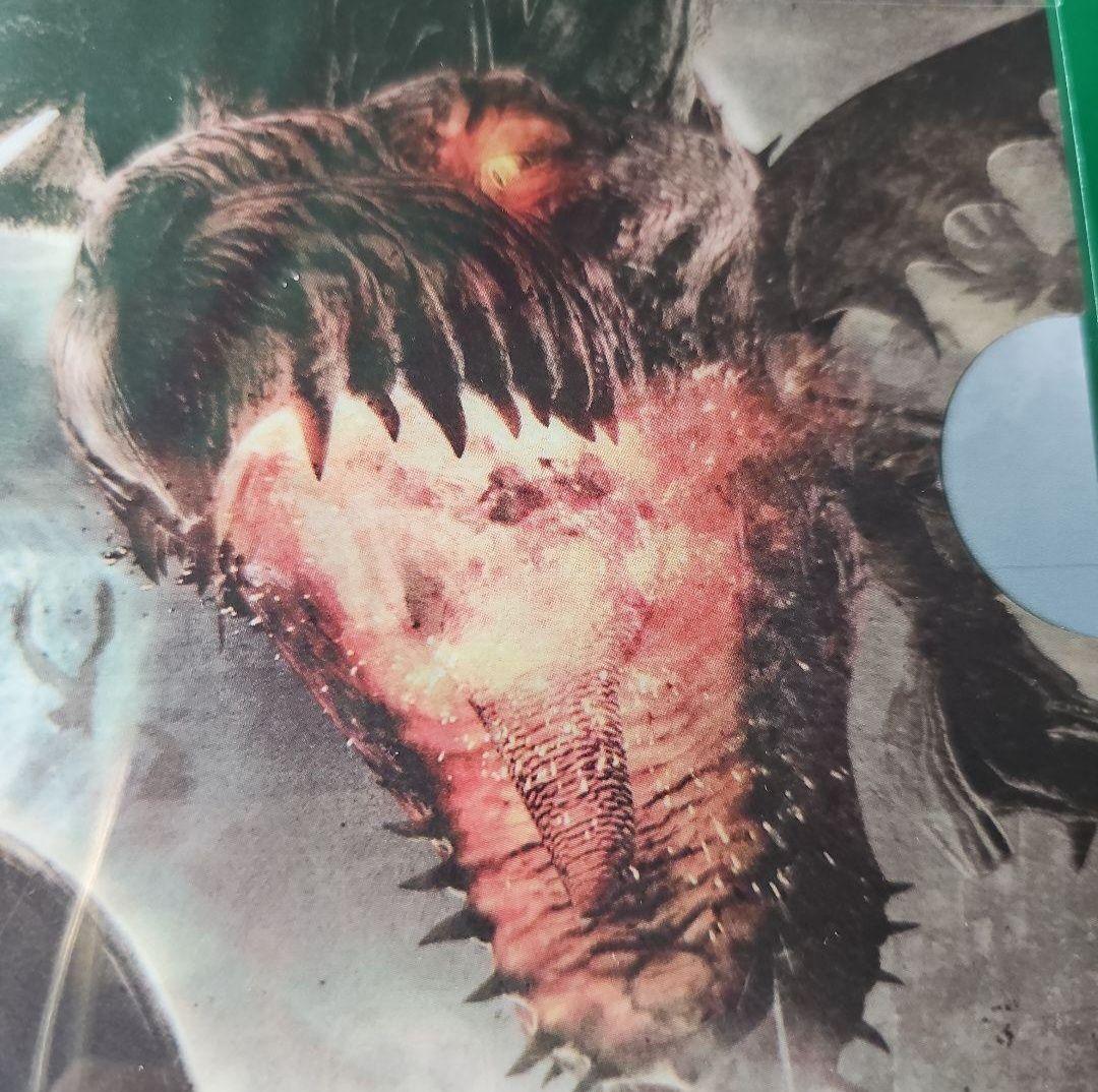 バイオハザード オペレーション ドラゴンズドグマ 両面クリアファイル