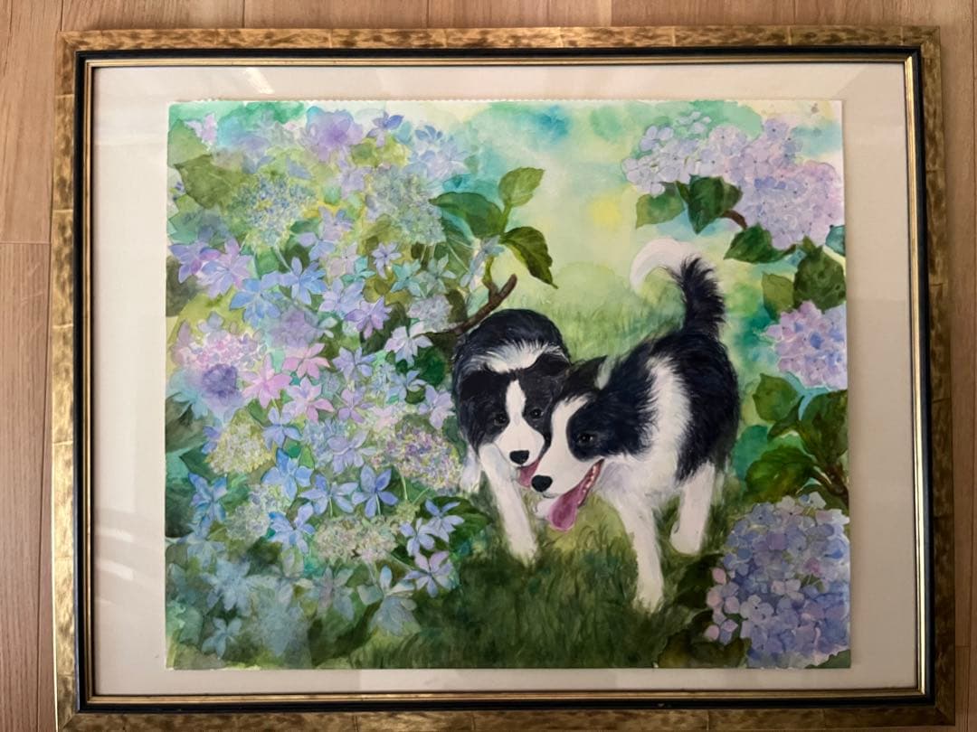 紫陽花　水彩画　ボーダーコリー