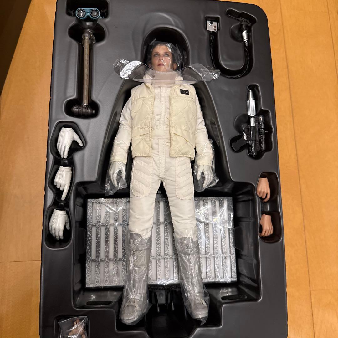 ホットトイズ レイア ホス版 スターウォーズ 1/6