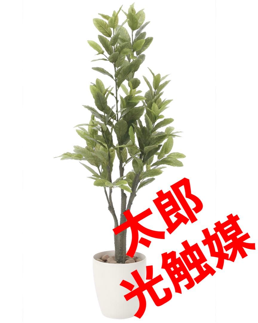 光触媒　人工観葉植物　ウォールグリーン　フェイクグリーン　レモン1.25m