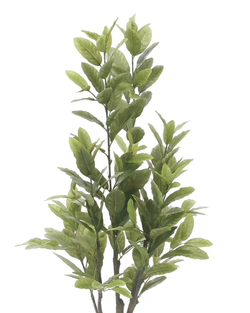 光触媒　人工観葉植物　ウォールグリーン　フェイクグリーン　レモン1.25m