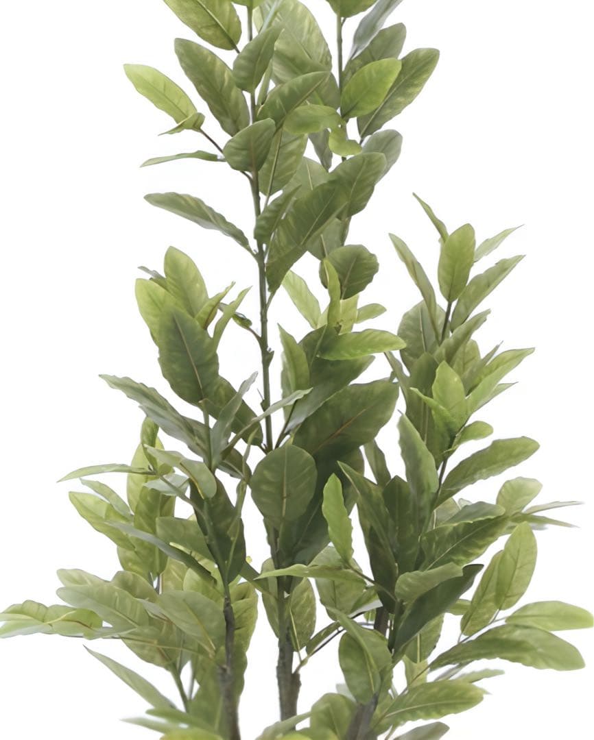 光触媒　人工観葉植物　ウォールグリーン　フェイクグリーン　レモン1.25m