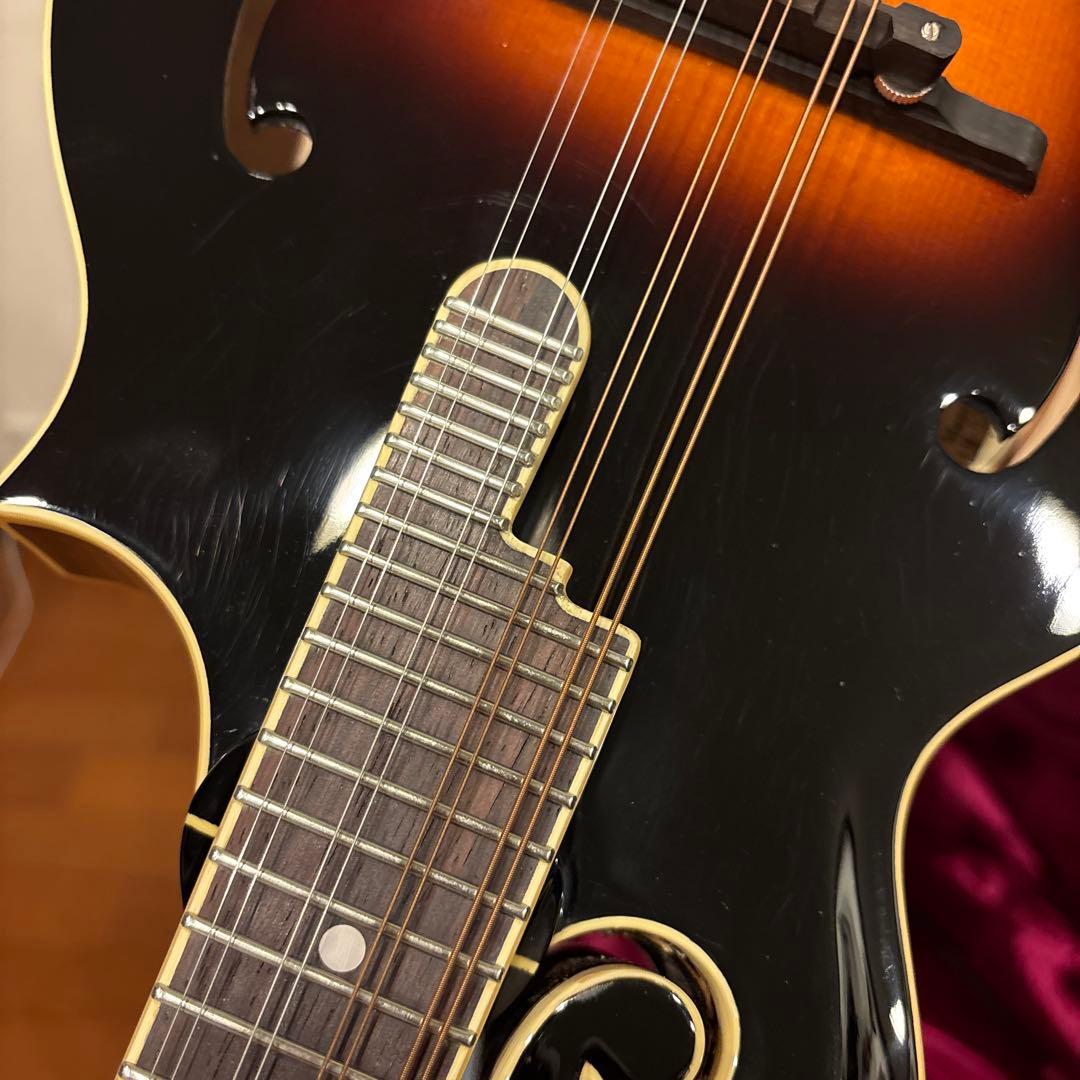 LOAR LM-520-VS フラットマンドリン