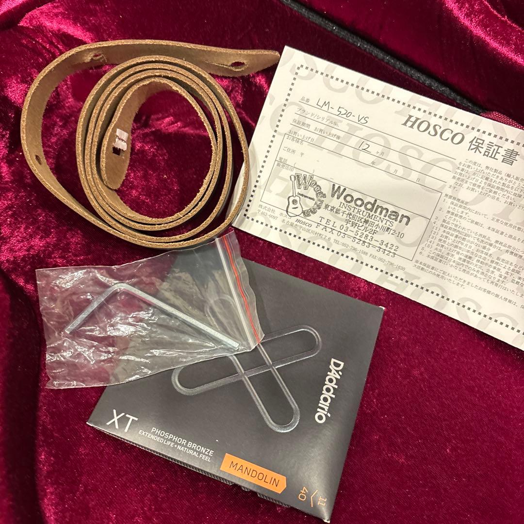 LOAR LM-520-VS フラットマンドリン