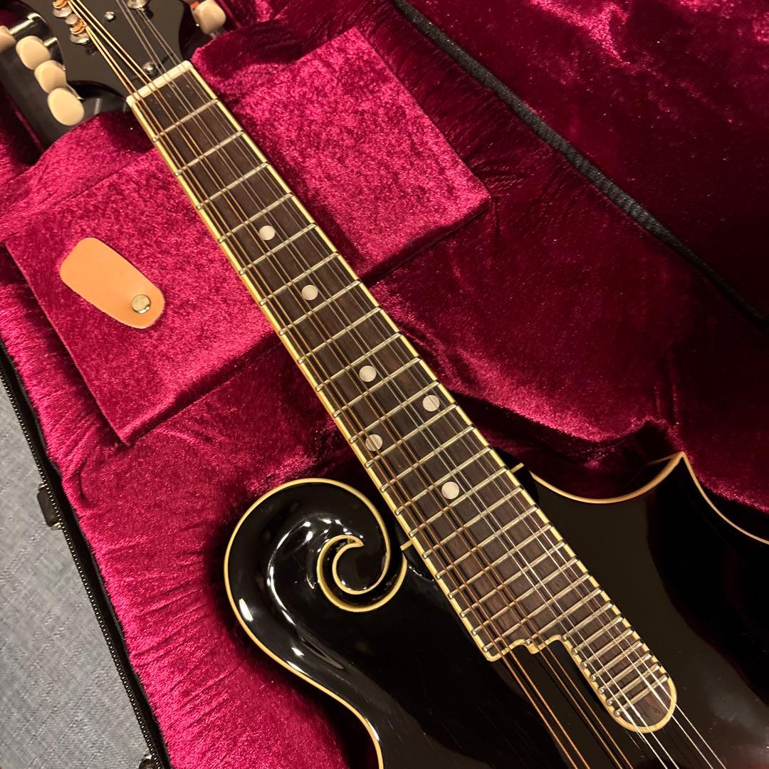 LOAR LM-520-VS フラットマンドリン