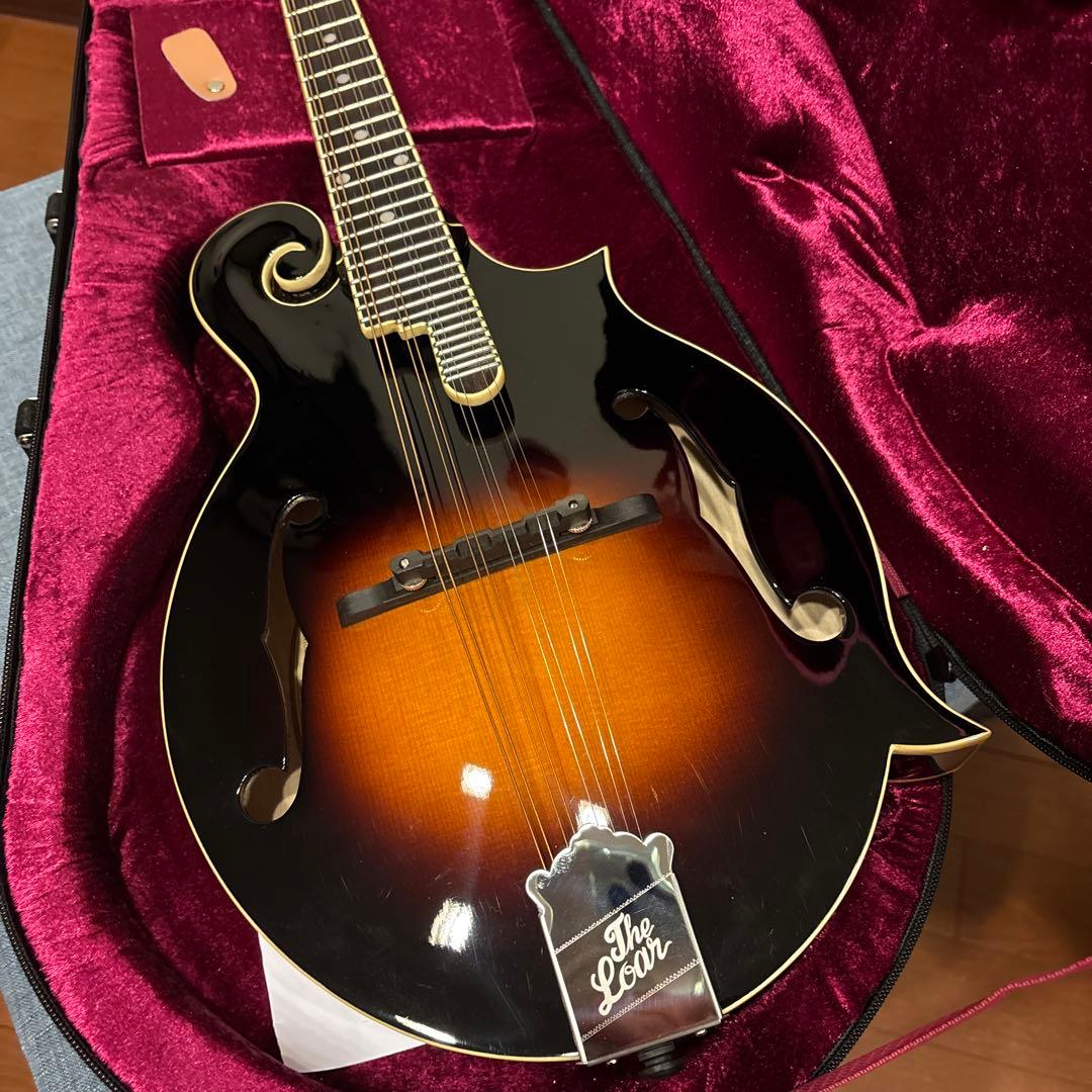 LOAR LM-520-VS フラットマンドリン