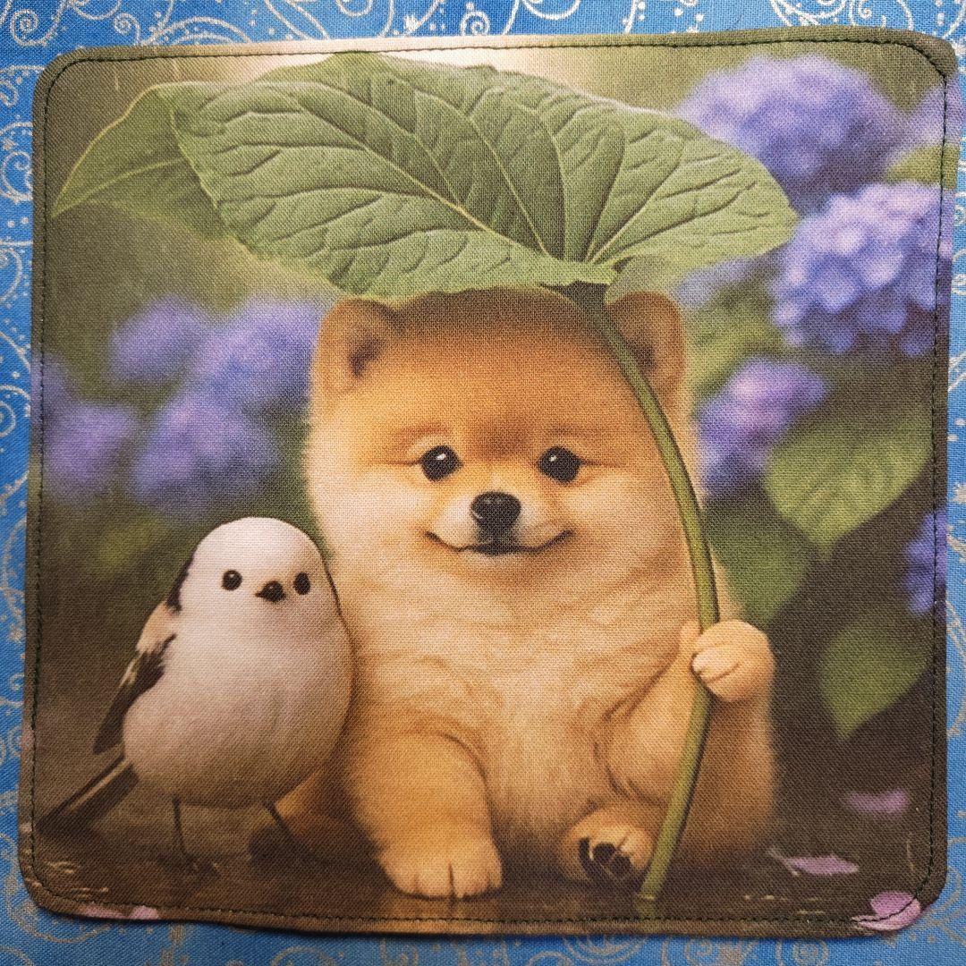 yourelia 　4重ハンカチ　ポメラニアンちゃん柄 18枚