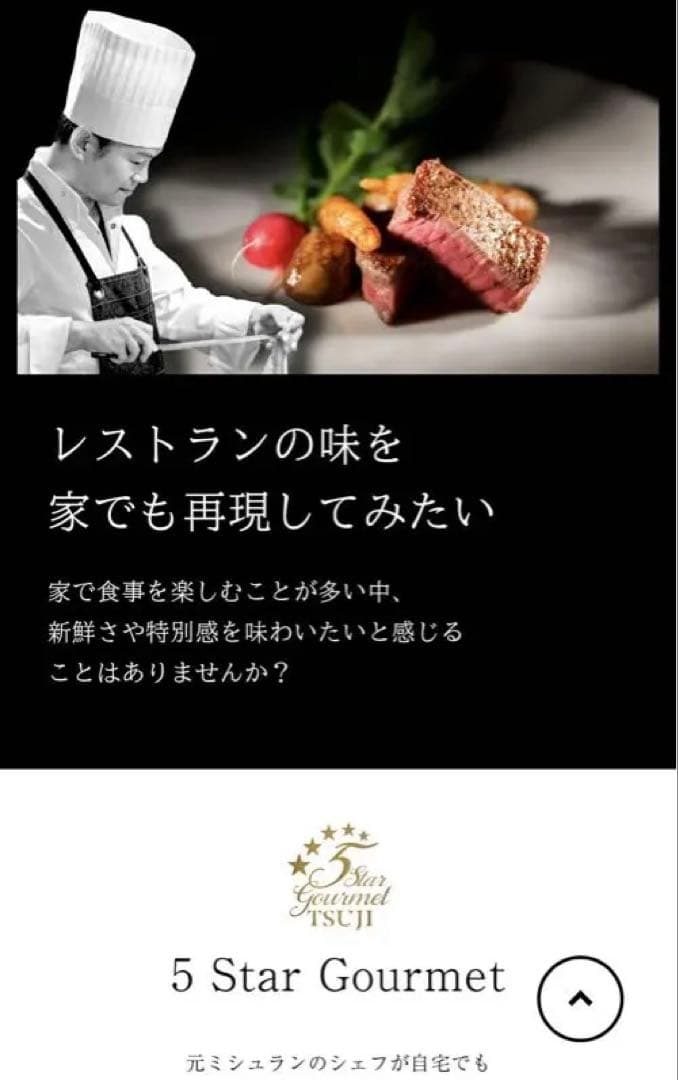 5 Star Gourmet TSUJI鉄フライパン【哲】　24cm