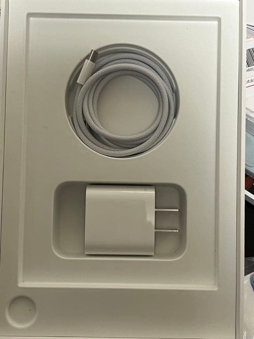 Apple iPad mini 7本体 付属品