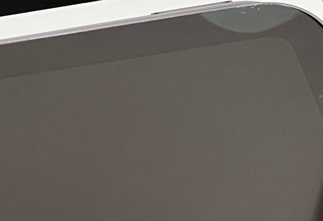 Apple iPad mini 7本体 付属品