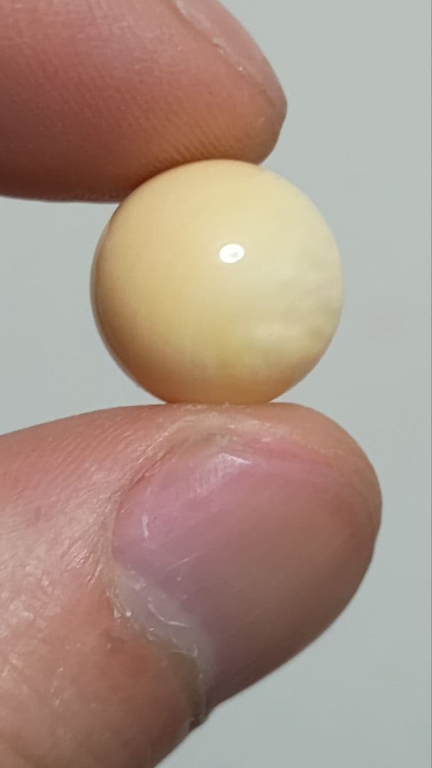 マッコウ鯨 牙玉 鯨歯玉 標本 緒締 根付 大約12.9㎜